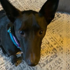 Meet your Posher, Gina